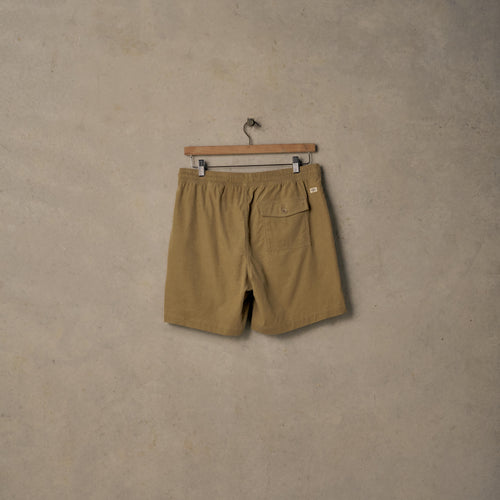 Dawn Patrol Walkshorts